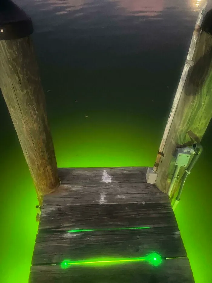 Este espeluznante muelle en el que estuve esta noche