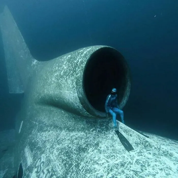 Deep Sea Daydreams