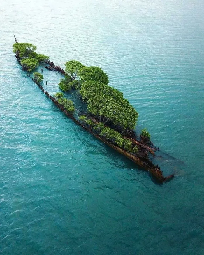 Nature’s Silent Takeover