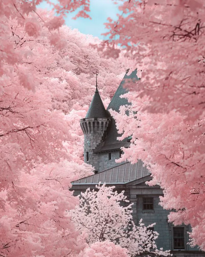 Itap Of Mcgill University In Infrared