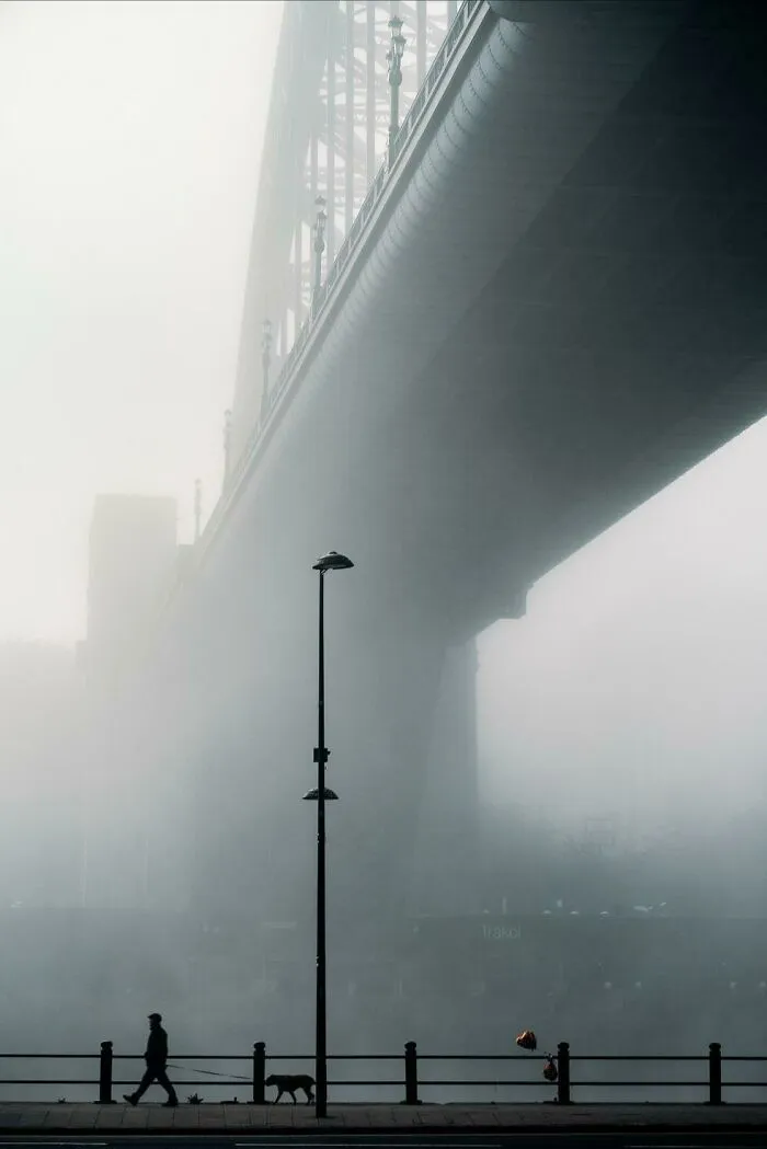 Itap Of A Man And His Dog In The Fog