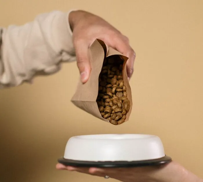 Dog Food Taster
