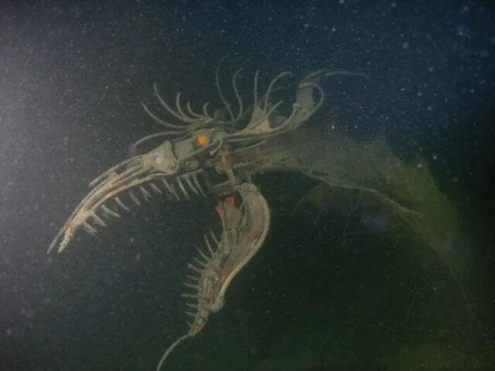 Underwater Dragon Statue