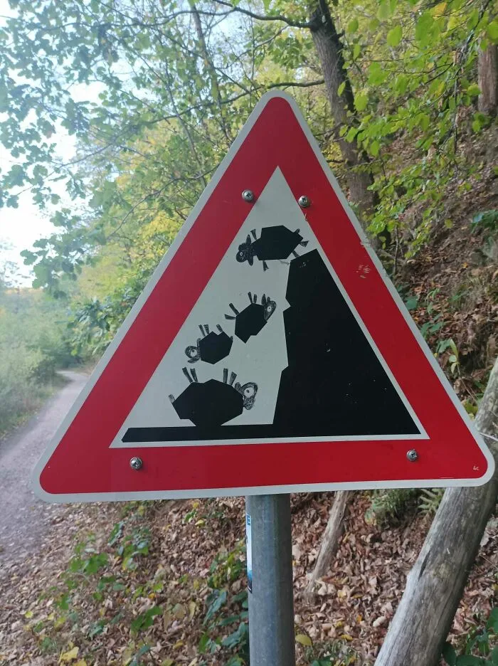 Precaución: Caída de ovejas 