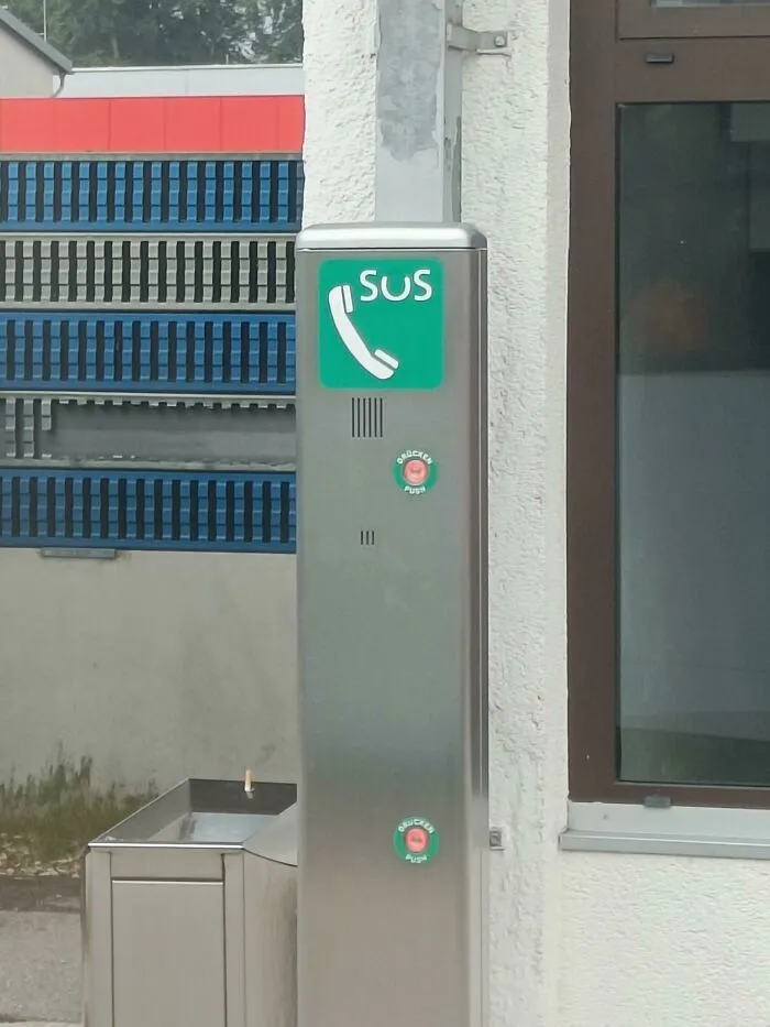 Sus