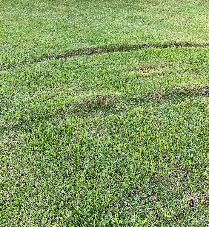Father-In-Law Drives Through Front Lawn To Avoid Backing Up
