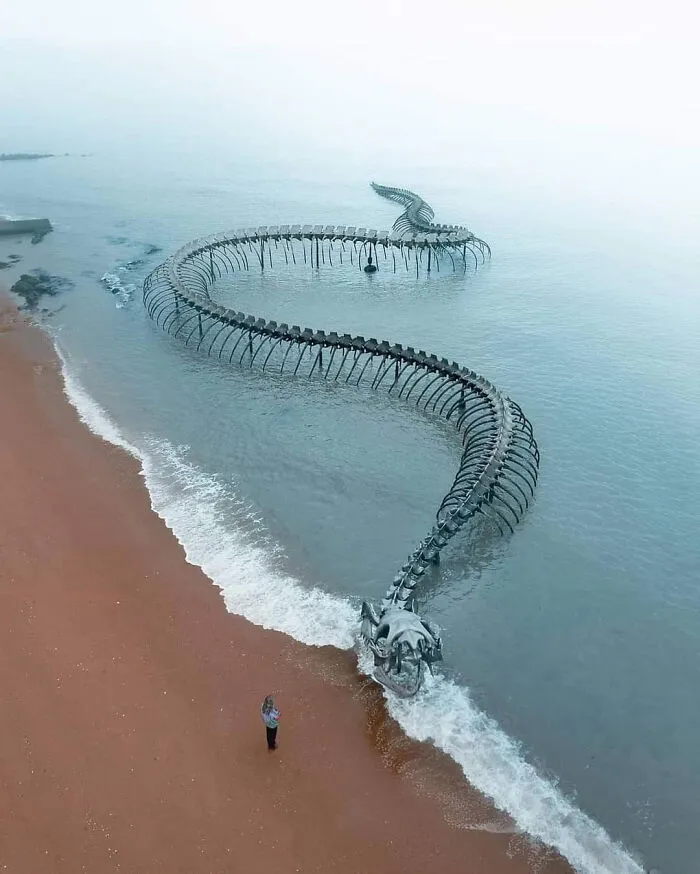 150 Meter Aluminum Sea Serpent Skeleton Sculpture From Saint Brevin, France
