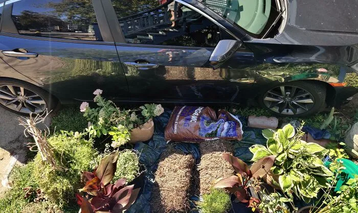 Mi vecina insiste en estacionar su auto en mi jardín en lugar de su entrada para el auto porque es demasiado perezosa como para correr sus cubos de basura