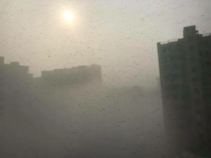 View From My Hotel - Tangshan China, Birth Of The Chinese Coal Industry!