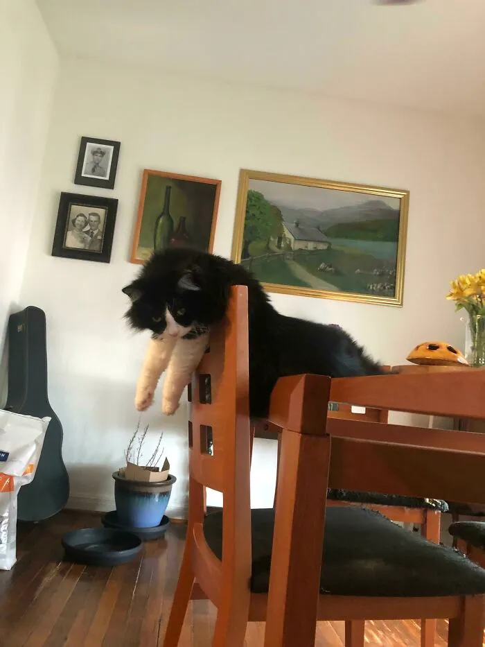 I Actually Can’t Describe It. This Is Sophie