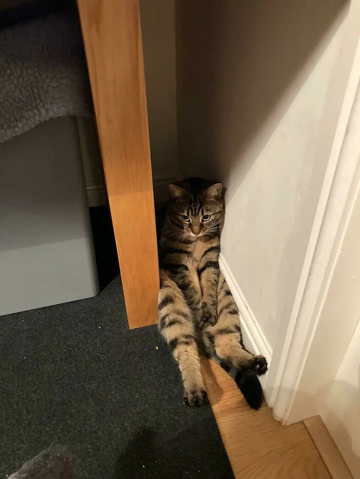 What’s Wrong Bobbi?