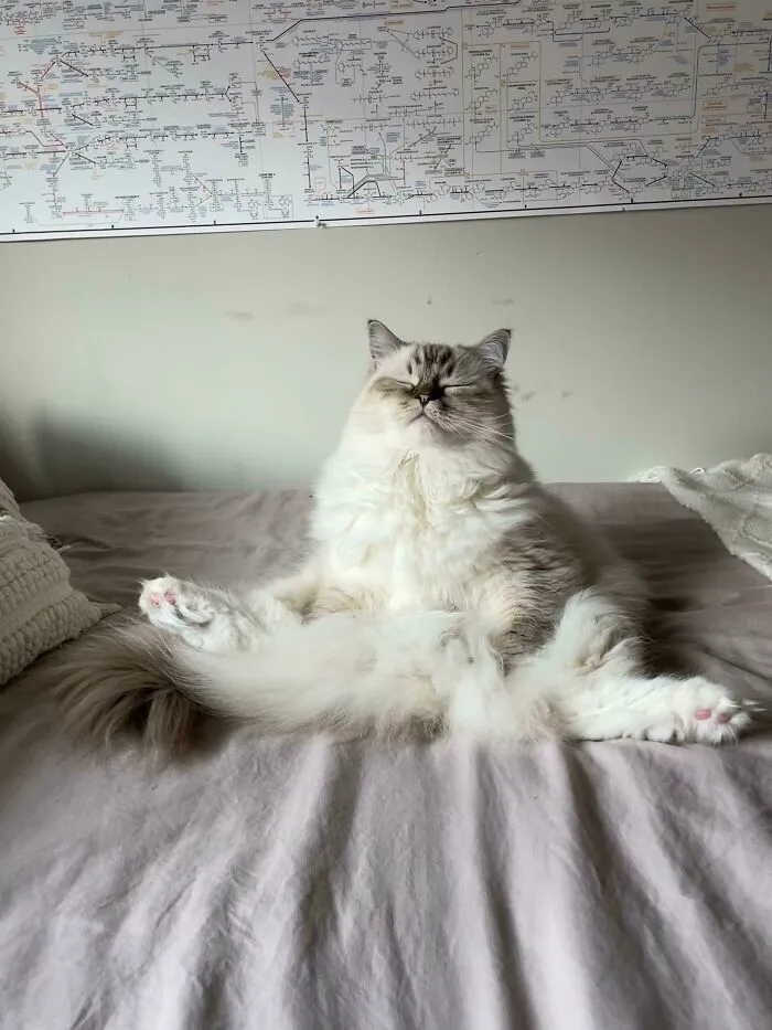 Meditación matutina