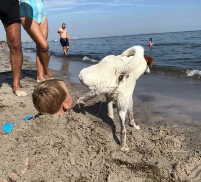 Max suele comportarse muy bien. Él y mi sobrino siguen siendo amigos