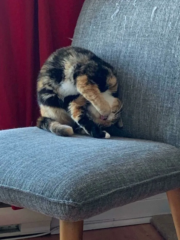 Loulou Always Had An… Interesting Way Of Doing Things