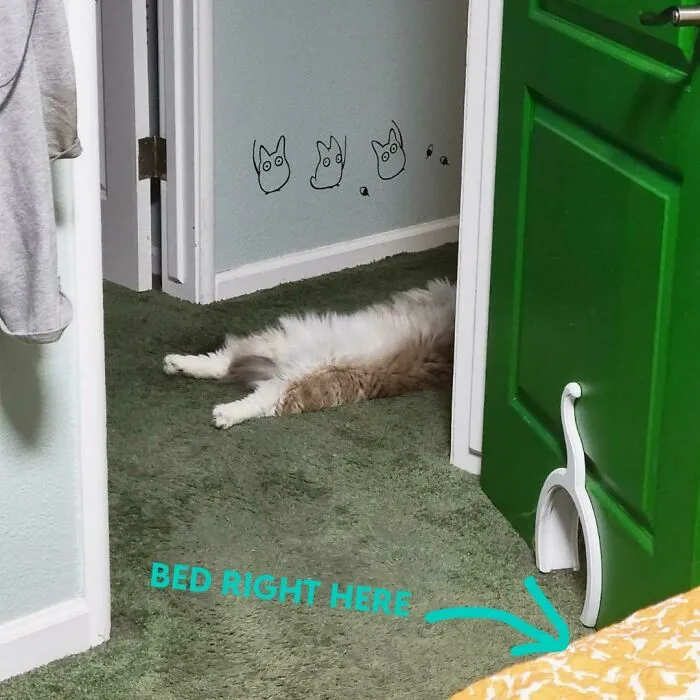 Just Couldn't Make It