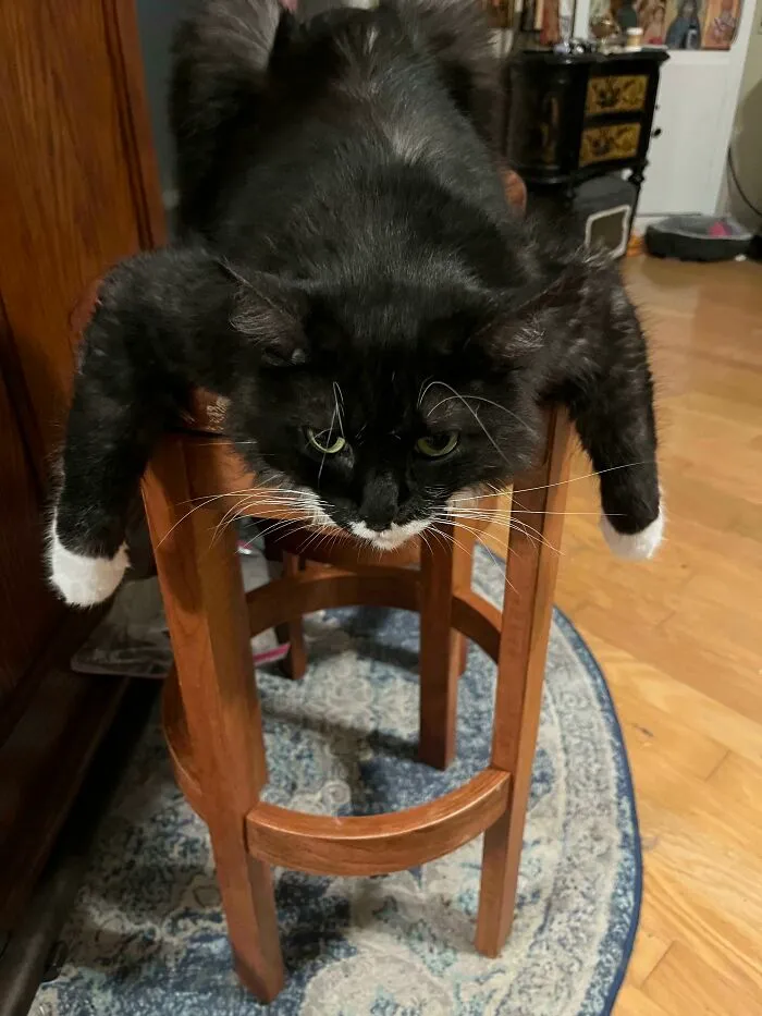 Ralph Likes To Hang Out Like This