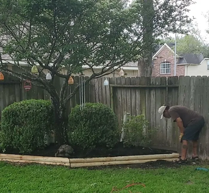 My Dad Didn't Graduate High School. Today I Taught Him How To Use A Protractor And Basic Geometry So He Could Rebuild My Mom's Flowerbed