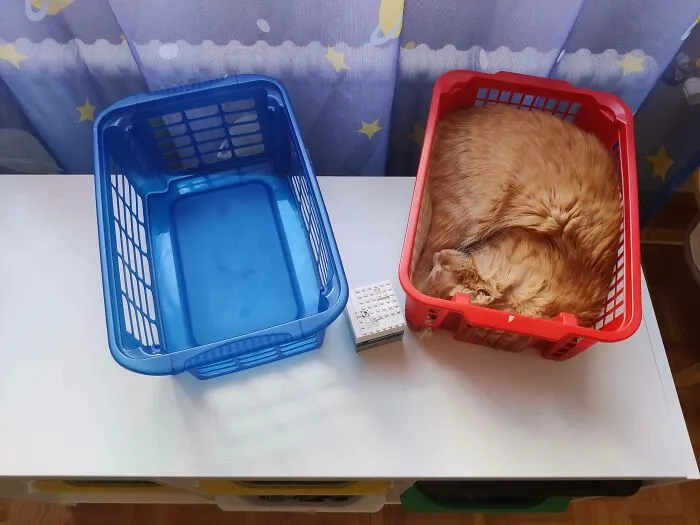 La trampa roja es más efectiva que la azul