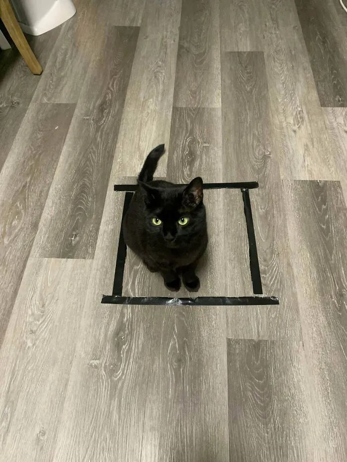 I Caught A Void