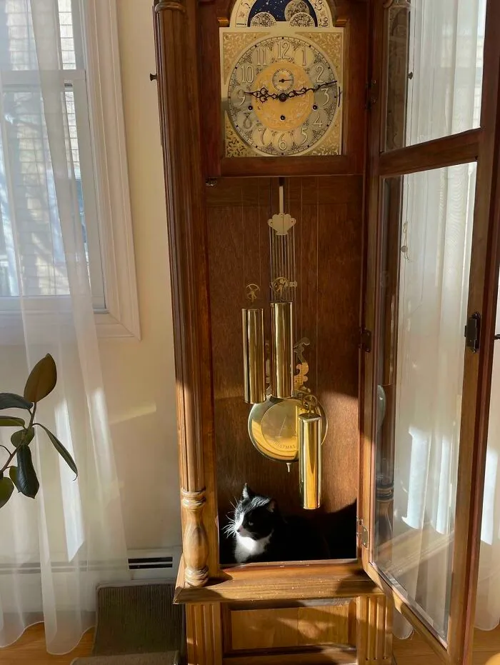  Supongo que ahora es su reloj