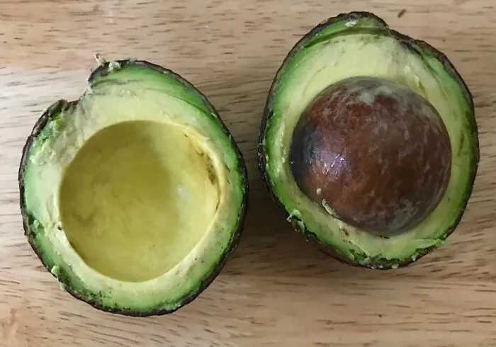 Pagué 2 dólares por este aguacate