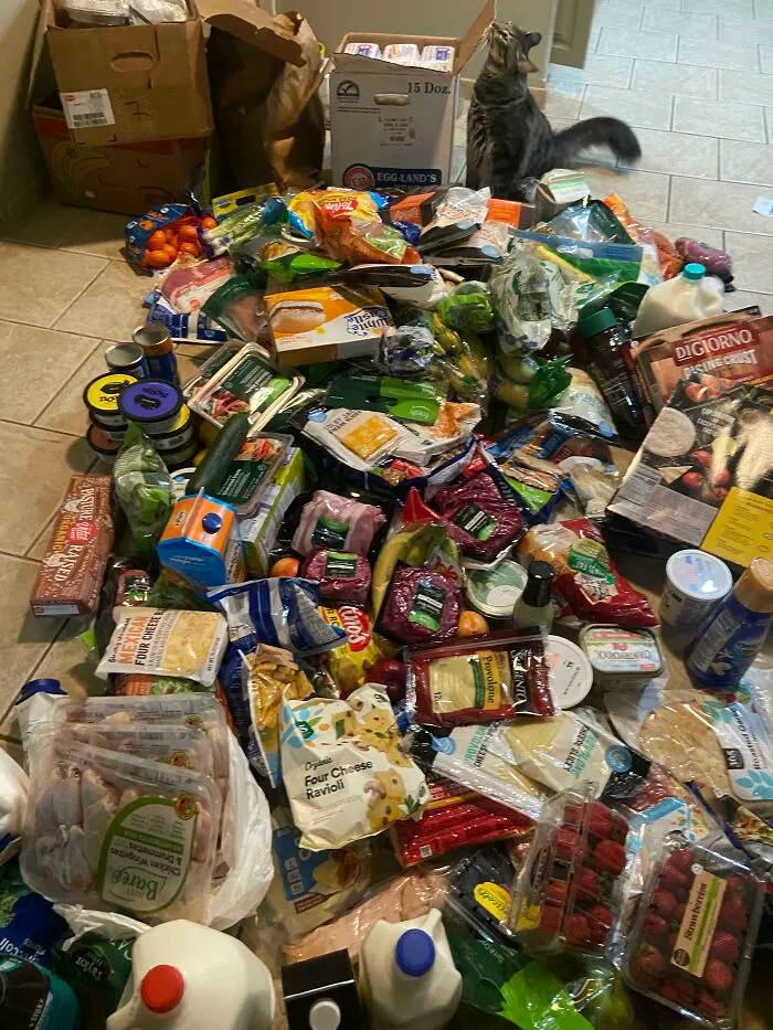 Another $500+ Haul From My Favorite Dumpster. Haven't Purchased Groceries In Years!