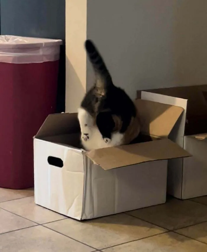 Estas cajas estuvieron en el suelo durante solo 5 minutos