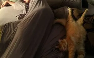 50 Times People Caught Animals Enjoying A Nap And Just Had To Take A Pic