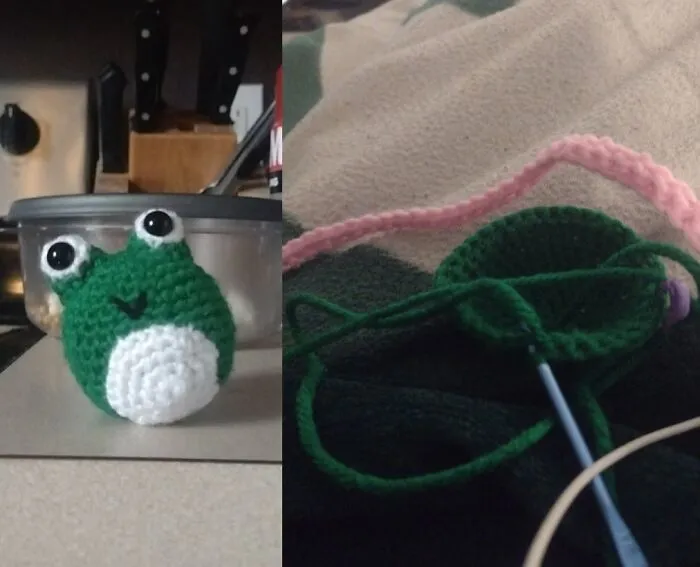 Finished, Frog, Working On, Another Frog And A Blanket
