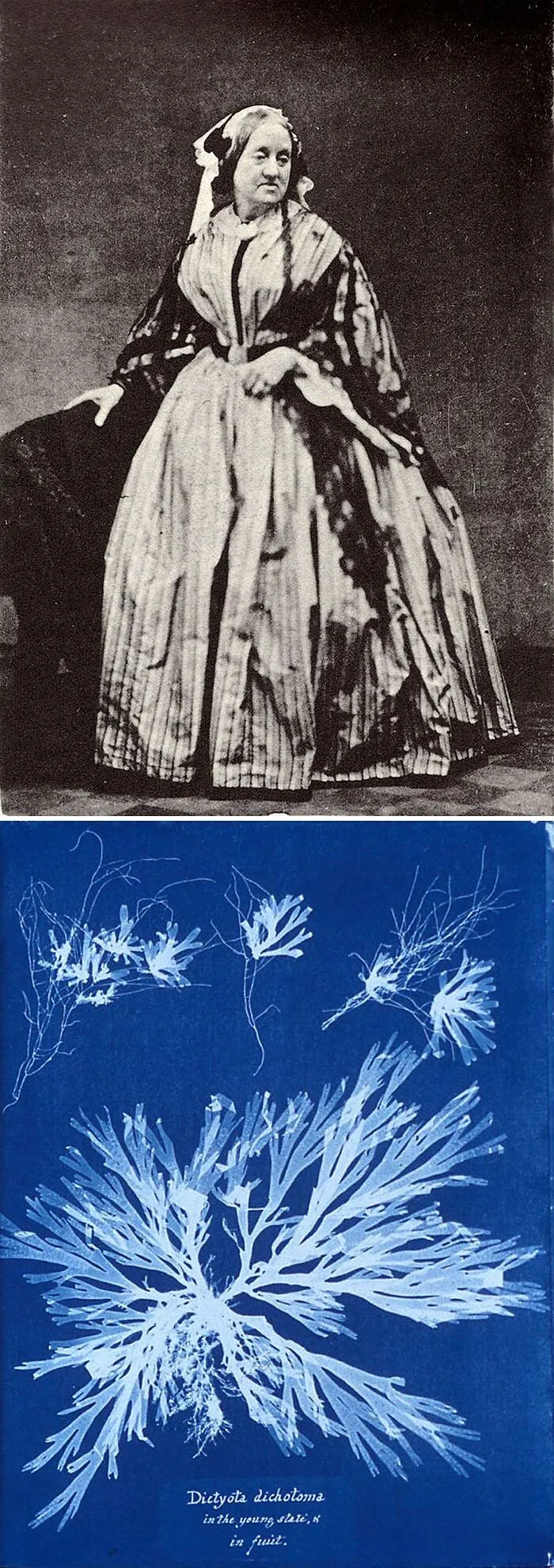 Anna Atkins