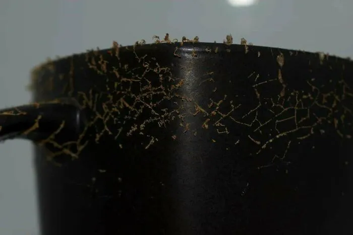 What Is This Growth On My Mugs After I Microwave Them?
