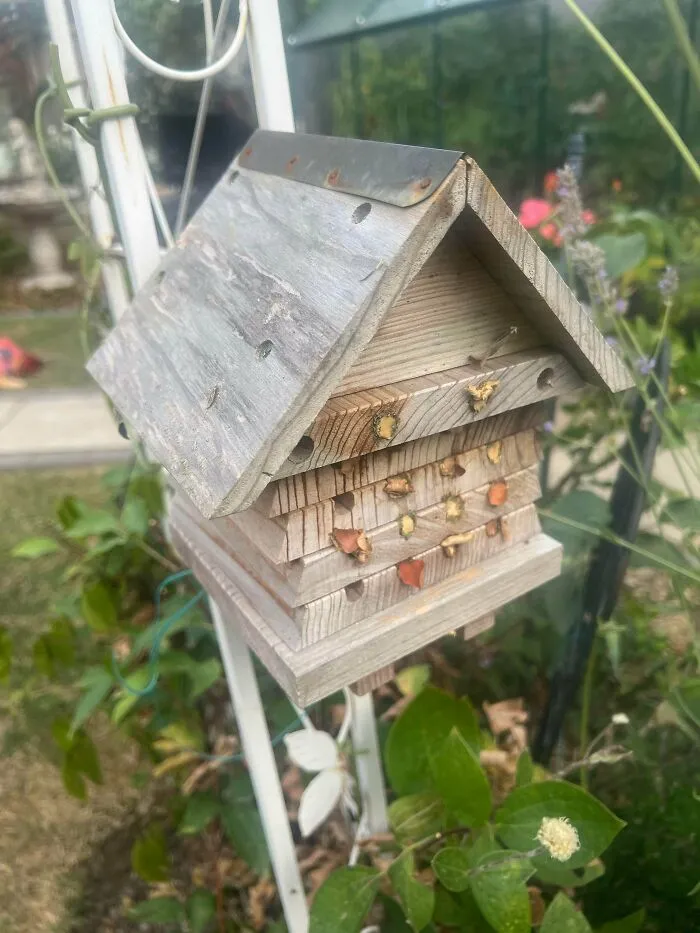 ¿Para qué sirve esta casita de madera que hay en mi jardín?