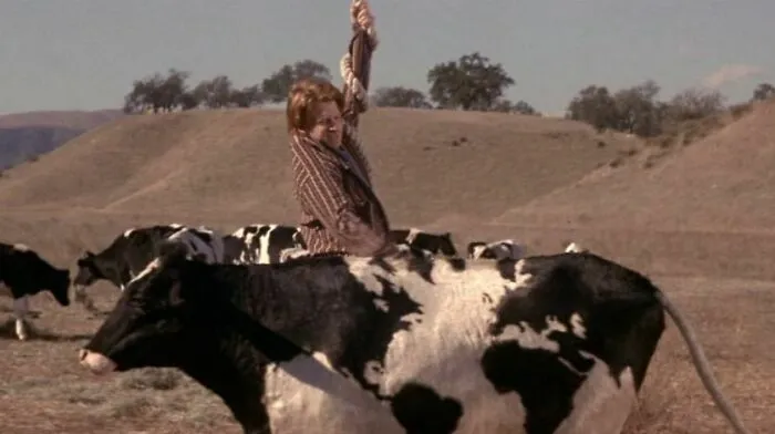 In The Film Rat Race (2001), The First Cow Seth Green Hits Whilst Hanging From A Hot Air Balloon, Has A Map Of The World As Its Spots