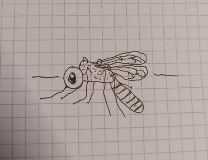 I Recently Had To Live Not Using My Right Hand For A Few Weeks. This Drawing Is Still Far From Perfect, But I Never Thought I Could Draw Nearly-Straight Lines With My Left Hand At All