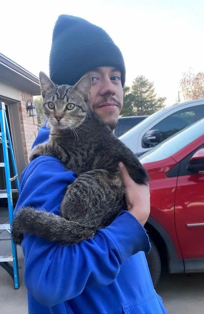 Rescaté a este gato del frío y parece que me ha reclamado como su dueño
