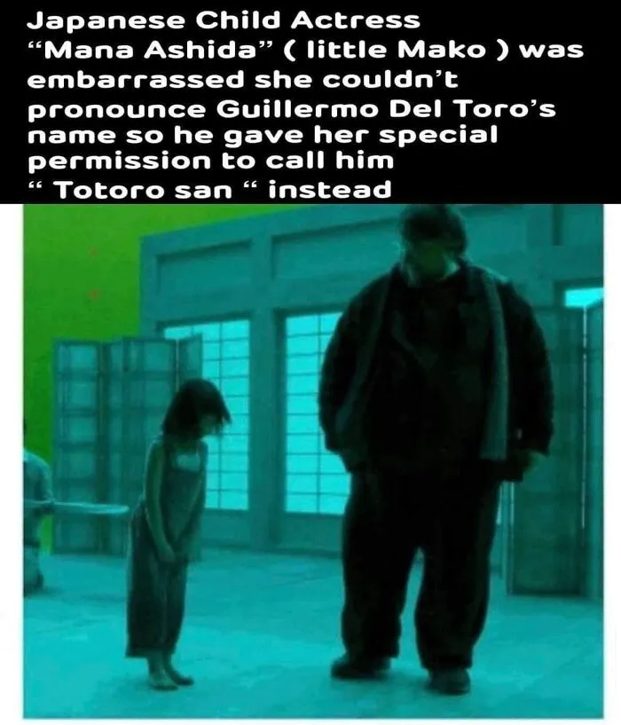 Totoro San
