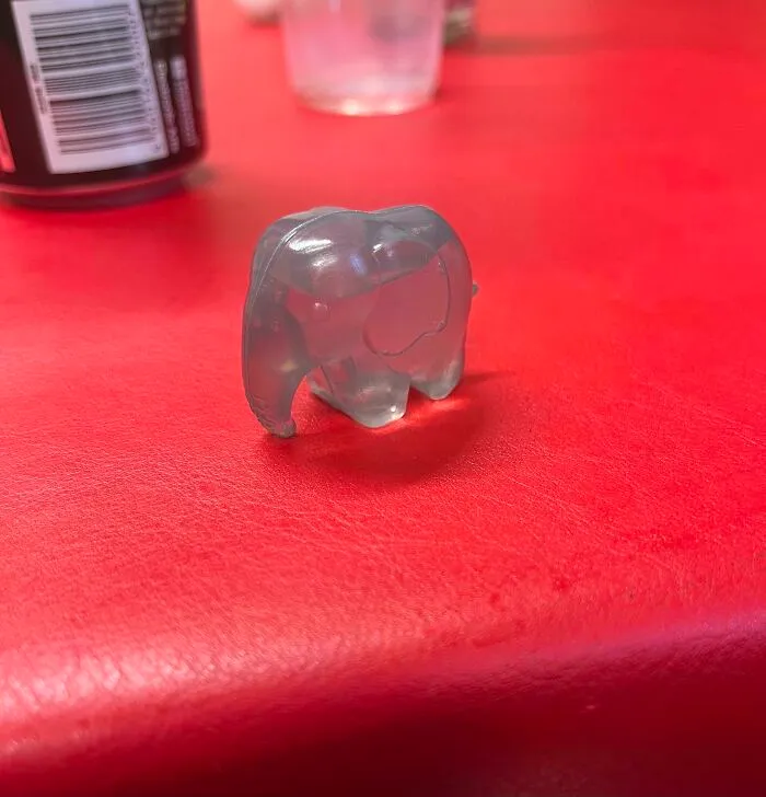 Dejaron un pequeño elefante lleno de agua en el piso de una fiesta. Estamos debatiendo con mis compañeros de casa sobre para qué sirve 