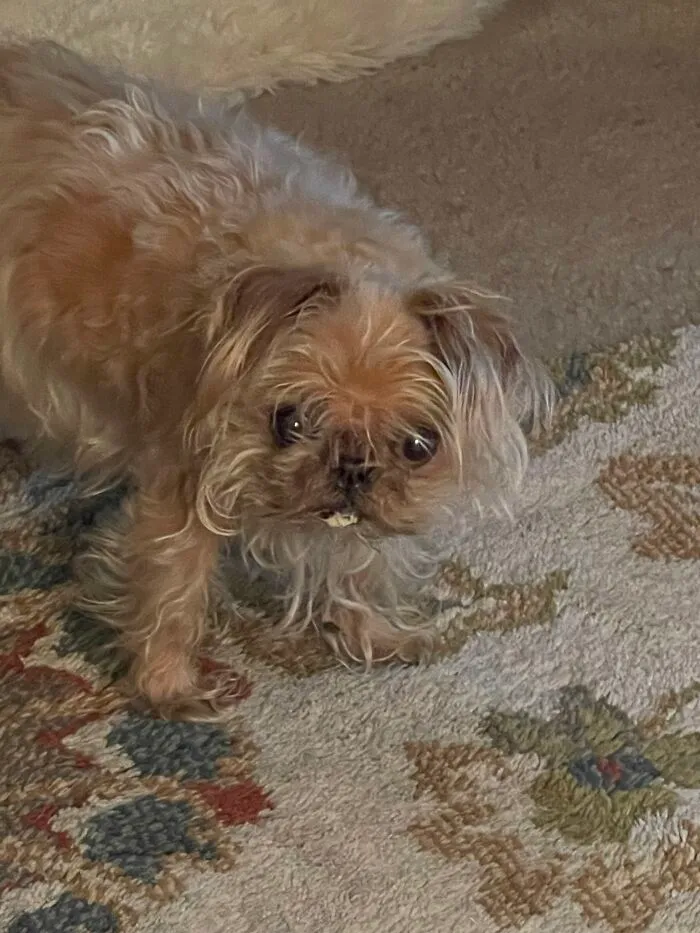 Is There Something On My Teeth?