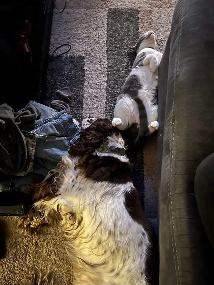 They Are Always On Alert