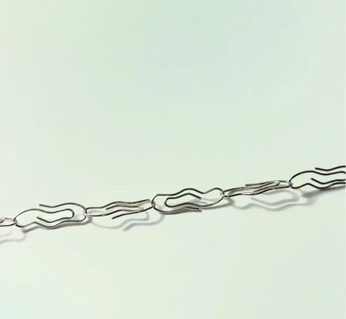 Tickled Paper Clips