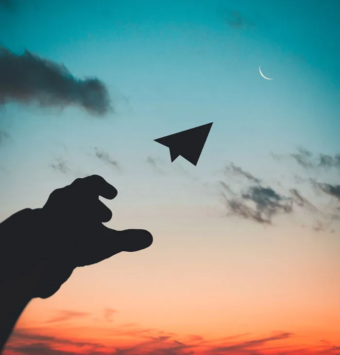 Flying, But There's An Obstacle