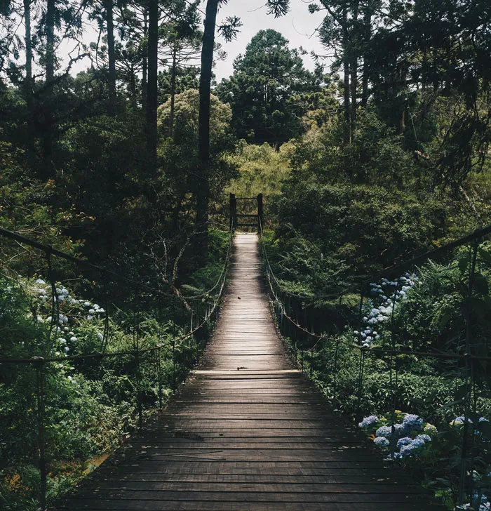 Bridge