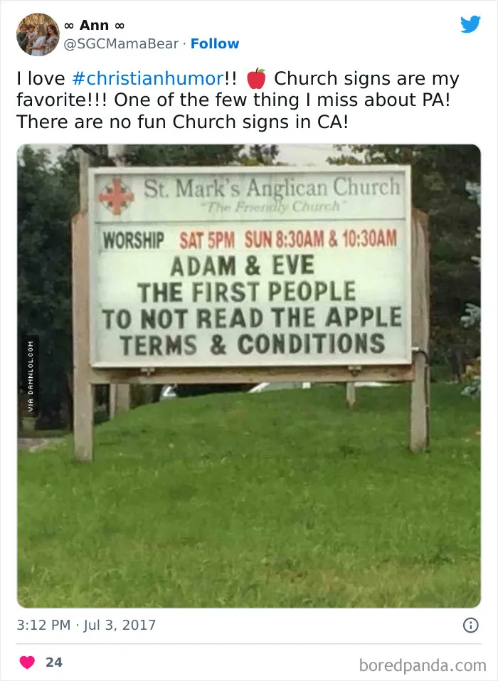 Terms & Conditions