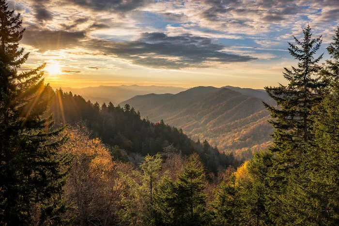 I Live In The Foothills Of The Smokies. My Happy Place Is In The Woods!