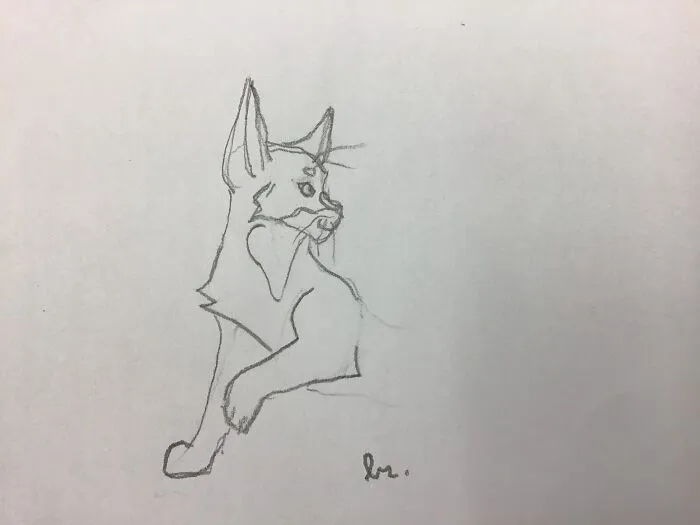 It’s A Cat :)
