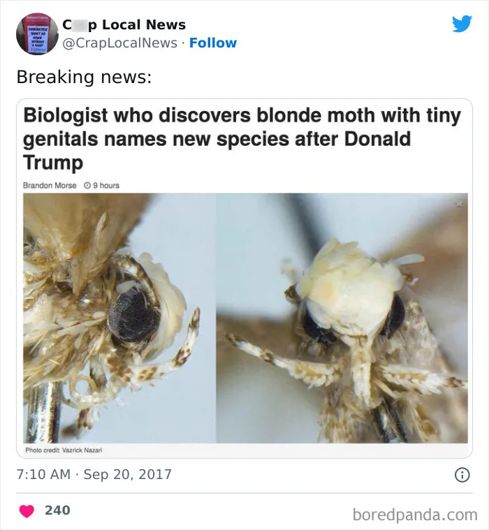 50 Fun Headlines From Local News That Are Unhinged And Bizarre