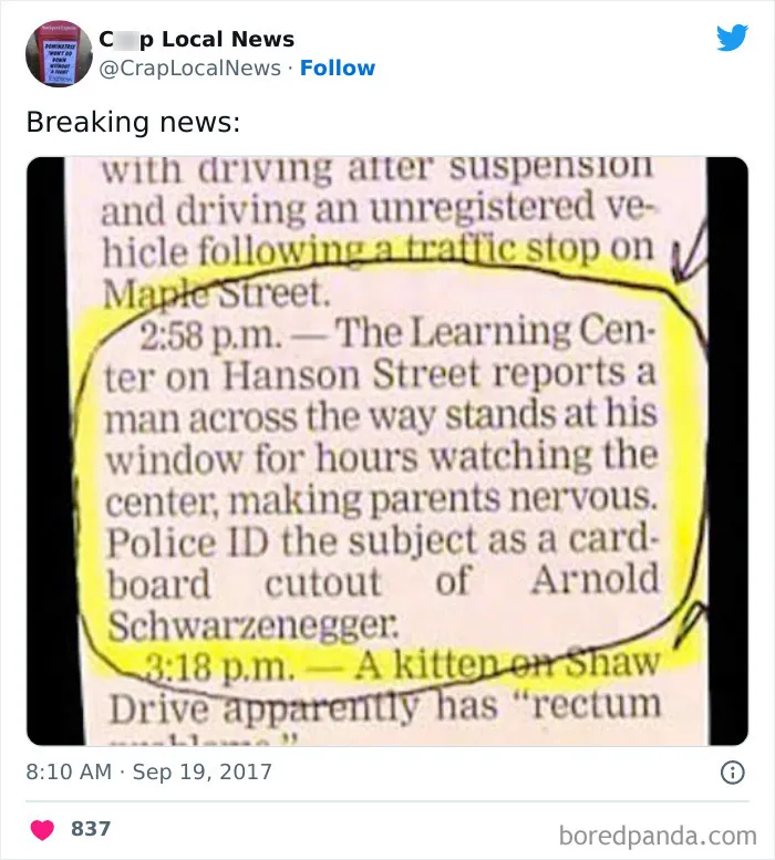 50 Fun Headlines From Local News That Are Unhinged And Bizarre