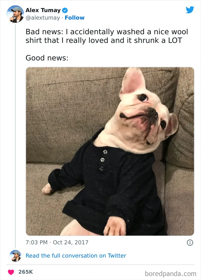 50 Of The Most Hilarious Tweets Of All Time That Will Probably Make Your Day