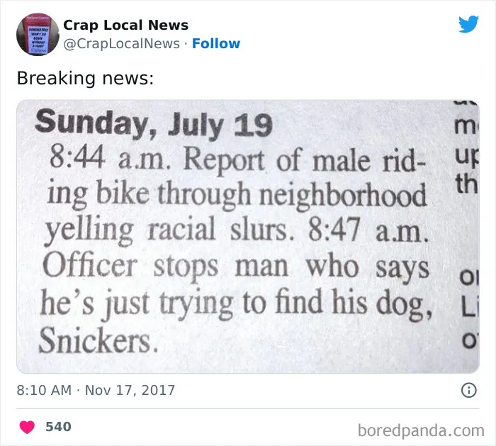 50 Fun Headlines From Local News That Are Unhinged And Bizarre