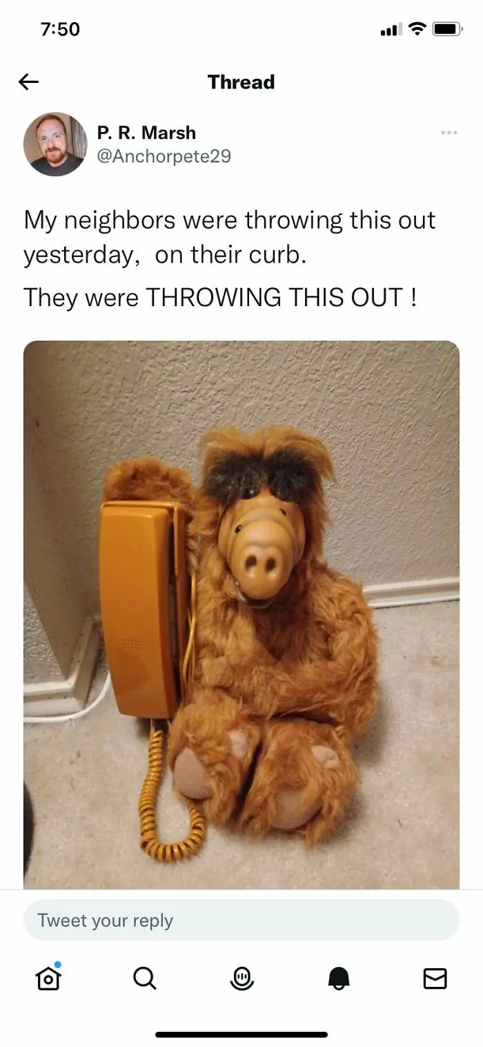 What A Treasure